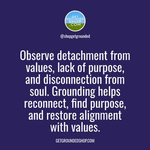 Reconnecting through Grounding: Rediscover Purpose, Realign with Values, and Mend the Soul Disconnect