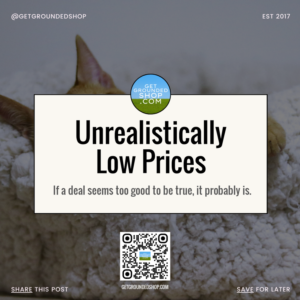 Unrealistically Low Prices: Why Deals That Seem Too Good to Be True Can Be Risky (2025)